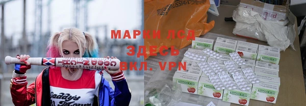 прущие грибы Аркадак