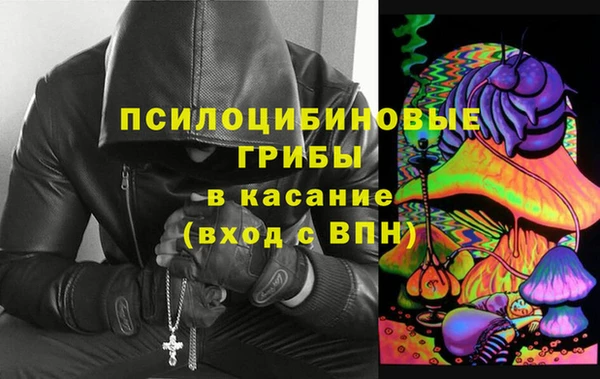 прущие грибы Аркадак
