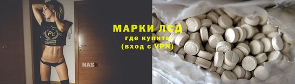 прущие грибы Аркадак