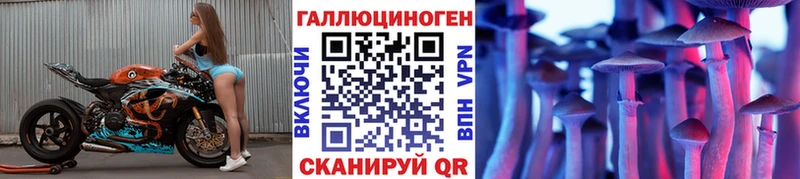 закладки Завитинск Галлюциногенные грибы GOLDEN TEACHER