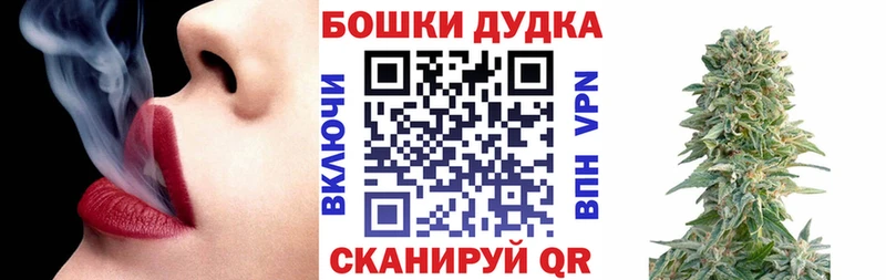 Каннабис сатива Завитинск